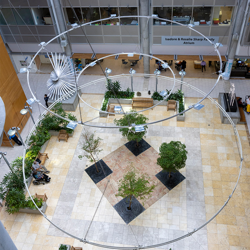 Apotex Long Term Care