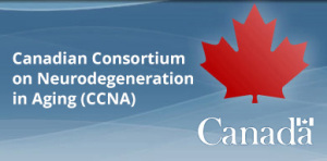 Baycrest joins national initiative to tackle dementia