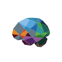 Brain-mapping platform, the Virtual Brain, used to help predict the effects of epilepsy