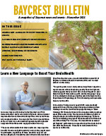 Baycrest Bulletin - November 2021