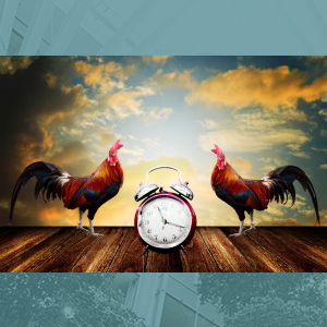 Older adults have morning brains! Study shows noticeable differences in brain function across the day